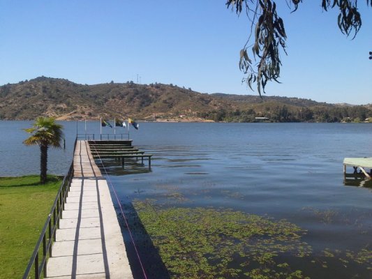 Parque Cataluña Rancagua: La Naturaleza a tu Alcance en la Región de O’Higgins.|