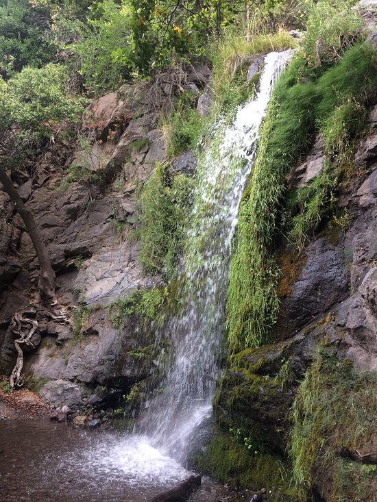 Reserva Nacional Río Los Cipreses: Un Panorama Imperdible en Rancagua