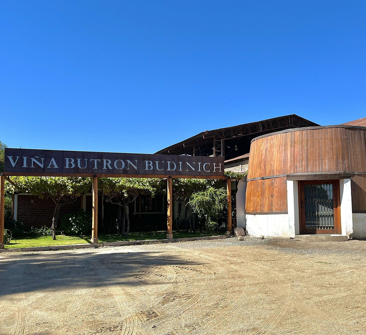 Viña Butrón Budinich: Experiencia Única en Enoturismo en Rancagua